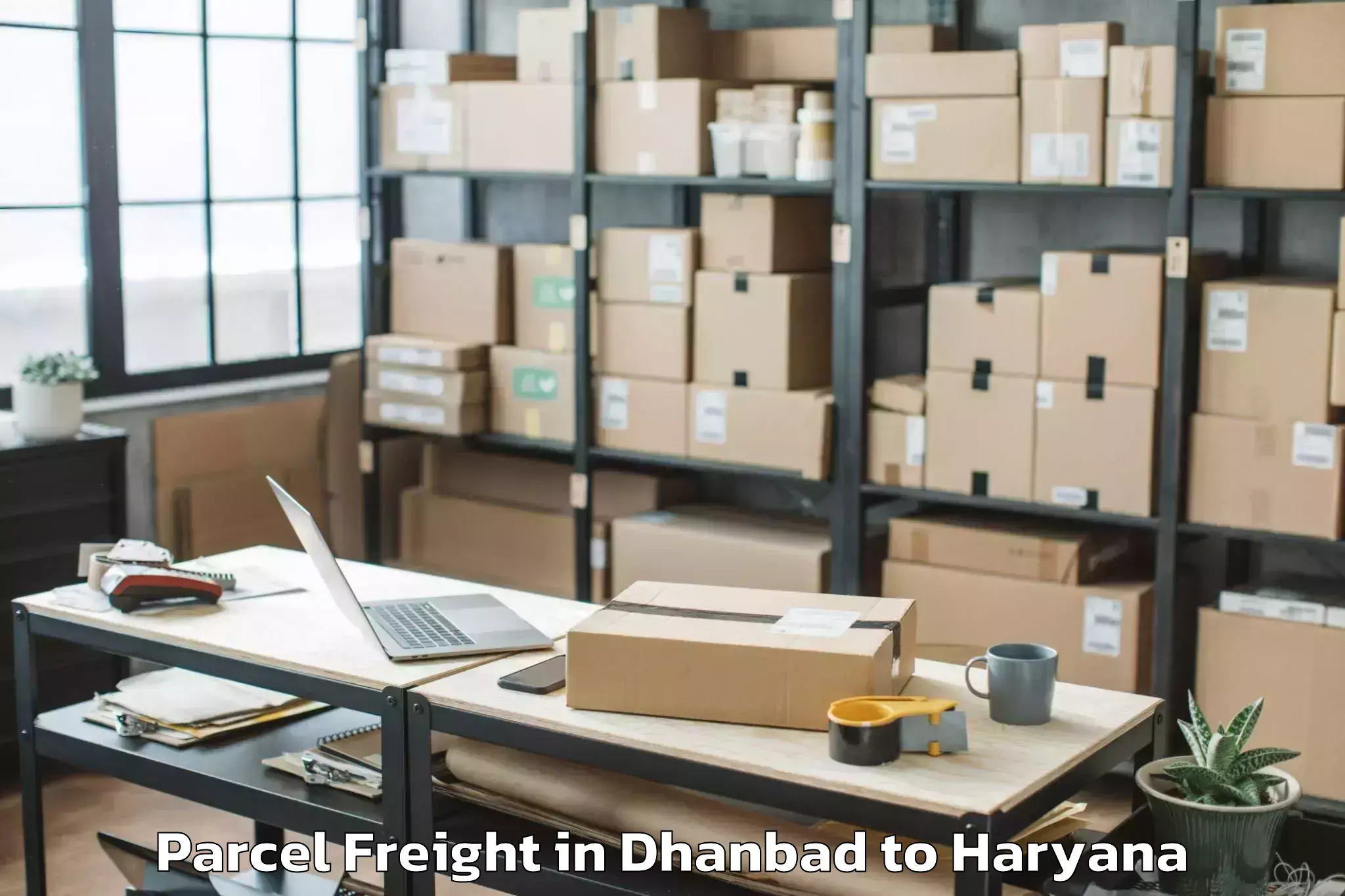 Top Dhanbad to Nilokheri Parcel Freight Available